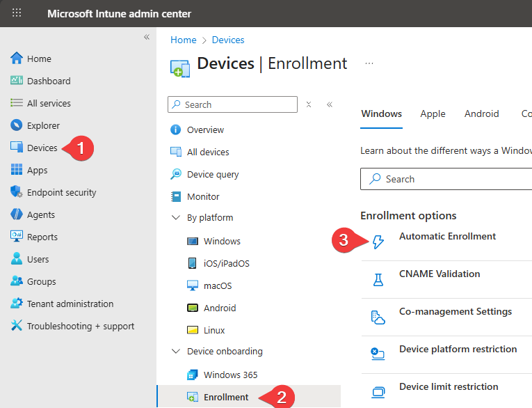 enable-automatic-enrollment-1